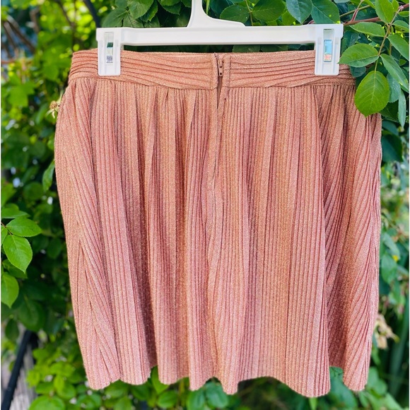 Francesca’s Caitlyn Shiny Mini Skirt - Picture 6 of 7